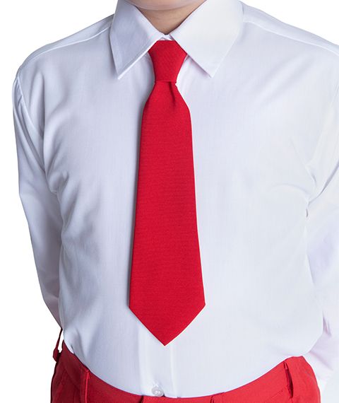 PLAIN ELASTIC TIES - PACK OF TWELVE 